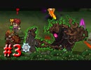 【Switch】宝を探せ！男4人でLost Castle part3【実況】