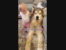 cute animal