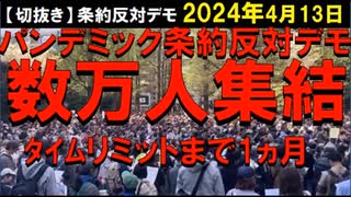 2024年4月13日パンデミック条約反対デモ。TV放送されない。が、これが決まれば日本終了。世界で日本だけが、秋から人工ウイルスを接種予定。すでに、人工ウイルスを日本で治験しており治験者が街中徘徊中。