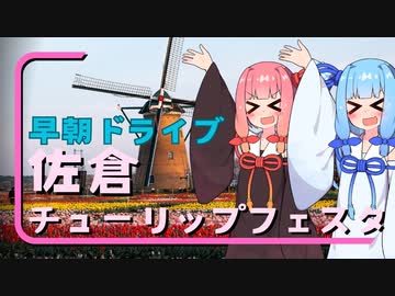 グッドモーニング・エクスペリエンス・琴葉姉妹