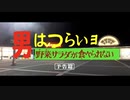 男はつらいョ 野菜サラダが食べられない【チャー研動画65日 12日目】