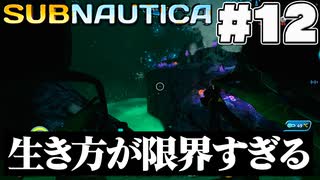 【Subnautica】火口に下降(12)