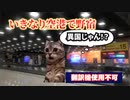 「猫ミーム」英語も話せない俺が無計画にタイにバックパッカーひとり旅するレポ【予告編】