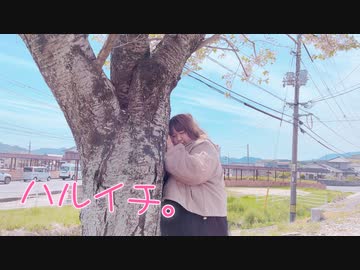 【春だ！桜だ！】ハルイチ。　踊ってみた　【新しい季節の始まりに】