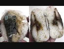 ファミリーマートの焼さば寿司を食べました。I ate grilled mackerel sushi from Family Mart.