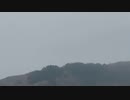 2024.04.16 (48倍速)ニコ生TSDL