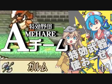 ファイアーエムブレム 聖魔の光石 -特効野郎AMEHAREチーム- 10