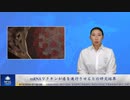 mRNAワクチンが癌を進行させるとの研究結果