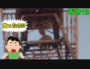 アクロバティックメルィィィィさん【ウツロマユ　その13】