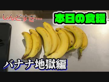 カービィが食べたものしか現実で食べられない生活 6日目(現実ご飯編)【星のカービィ ディスカバリー】