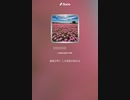 音楽作ってみた♯∞