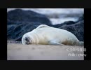 【日常系BGM】 ゴロゴロ怠惰なおもしろ素材曲「ぐうたら生活」 【フル×２】