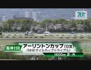 【ウマ娘風】第33回アーリントンカップGⅢ(2024)【ディスペランツァ】