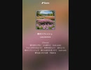 音楽作ってみた♯∞
