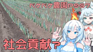 2024年4月16日　農作業日誌P967　ネギの植え替えを終わらせて、地域の草刈りをして社会貢献です