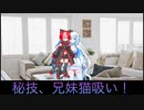 voicevox劇場　雪と小夜