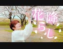 【藍音】花降らし/n-buna 【4年ぶりに踊ってみた】