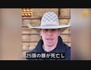 米国の牧場主が家畜のmRNAワクチン検査結果を明らかに、家畜の30%が死亡または瀕死状態