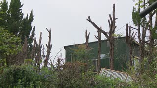 「自宅の敷地に落ち葉が散乱していた」　隣接する果樹園の木36本を伐採　器物損壊の疑いで男（63）を逮捕