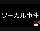 【ゆっくり朗読】ゆっくりさんと世界事件簿 その331