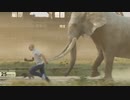 ホモと見る地球上で最も速く走ることができる動物ランキング