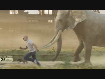 ホモと見る地球上で最も速く走ることができる動物ランキング