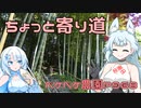 2024年4月17日　農作業日誌P968　用事を済ませた後に竹採公園で寄り道したよ