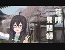 花隈見聞録 | 桜を見に行きました