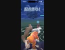 ねっさでこうげき下がったカイオーガをカイオーガでガン起点に！ランドロス オリジンディアルガ ゼルネアス vs ザシアン オリジンパルキア オリジンディアルガ 2024-04-17_06