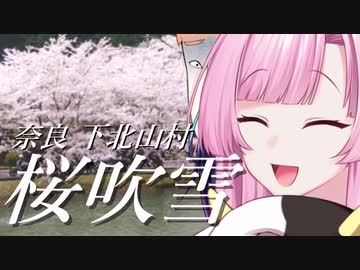 浮世絵茜はひた走る 奈良 下北山村 さくらストリーム