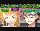 【エロゲ実況】24　エロ本シコシコタイム終了のお知らせ【金色ラブリッチェ】