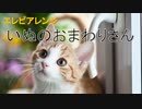 エレピアレンジ『いぬのおまわりさん』