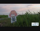 花響琴今日発売!!