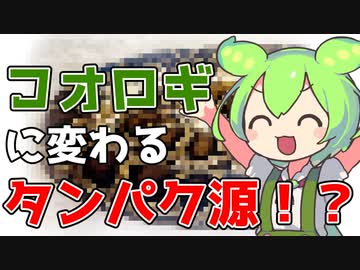 【ずんだもん解説】コオロギ食の次は○○食！？人類を救うかもしれない新たな代替肉候補について解説！