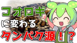 【ずんだもん解説】コオロギ食の次は○○食！？人類を救うかもしれない新たな代替肉候補について解説！