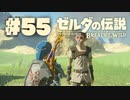 【ぽつぽつ実況 #55】かけっこ【ゼルダの伝説BoW】