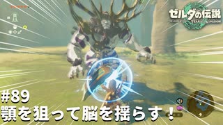 ついに白銀ライネル登場ッ！【ゼルダの伝説 ティアーズ オブ ザ キングダム】#89