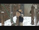 PndapiaLive_2024_04_18