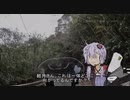 結月ゆかりさんが仲間と花見に行くようです
