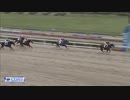 2024年4月18日浦和競馬2R ランチタイムチャレンジ(C2-十・十一) リッキーマキアート