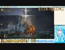 【実況】ELDEN RINGやる！【145】