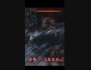 【SEKIRO】赤鬼の洗礼を受けるおむこZ【切り抜き】