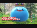 【ドラゴンクエスト11S】「勇者」とは何なのか。もう一つのマーメイドハープスポット！ここは、メダチャッカ地方！【Part88】