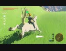 ゼルダの伝説　ブレス オブ ザ ワイルド　実況プレイPart253