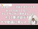 4.13東池袋デモ！動画を見た人は100％驚愕します。ガンガン見せましょう！