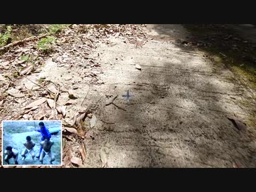 新入部員乱〇乱射強制合宿　一人称視点