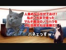 【円天】マルチ商法のパイオニアが考案した「使っても減らないお金」 #猫マニ #猫ミーム