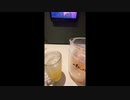 2024/3/28みかんちゃんカラオケ 雪だるまつくろう