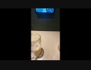 2024/3/28みかんちゃんカラオケ ダンス