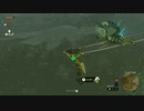#26【ゼルダの伝説 ティアーズ オブ ザ キングダム】チューリと共にリトの村を救うことに！